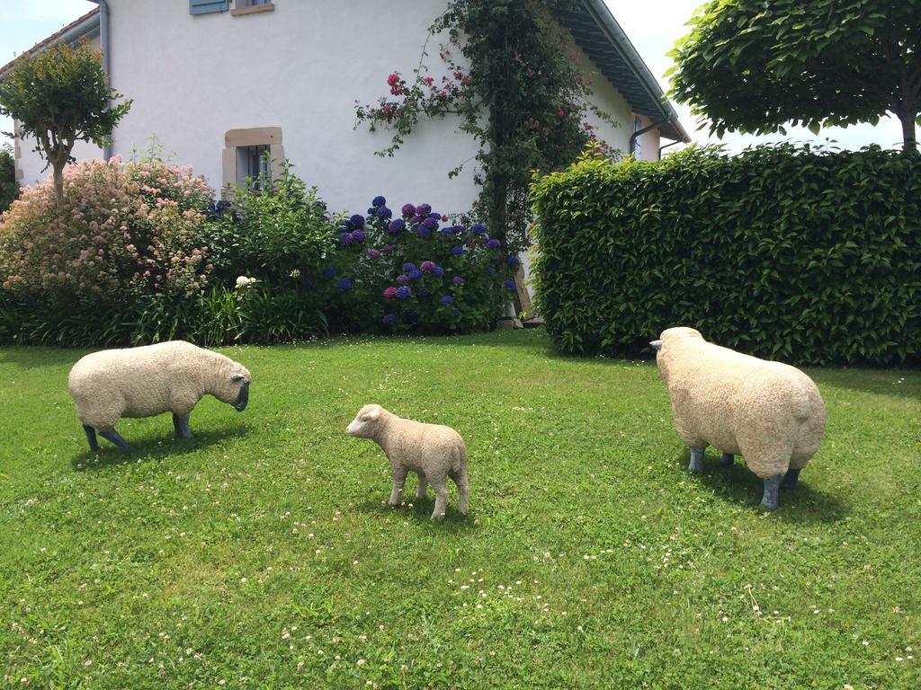 Les Volets Bleus Bed & Breakfast Arcangues Exterior photo